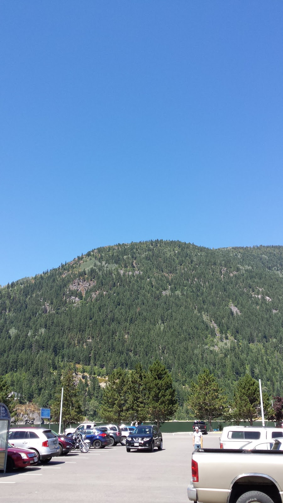 Hospitality-Courtyard Inn | 1209 Cranbrook St N, Cranbrook, BC V1C 3S6, Canada | Phone: (250) 489-4124