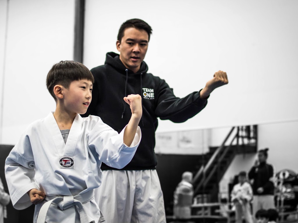 Team One Martial Arts | 1550 Booth Ave, Coquitlam, BC V3K 1B9, Canada | Phone: (604) 526-2652