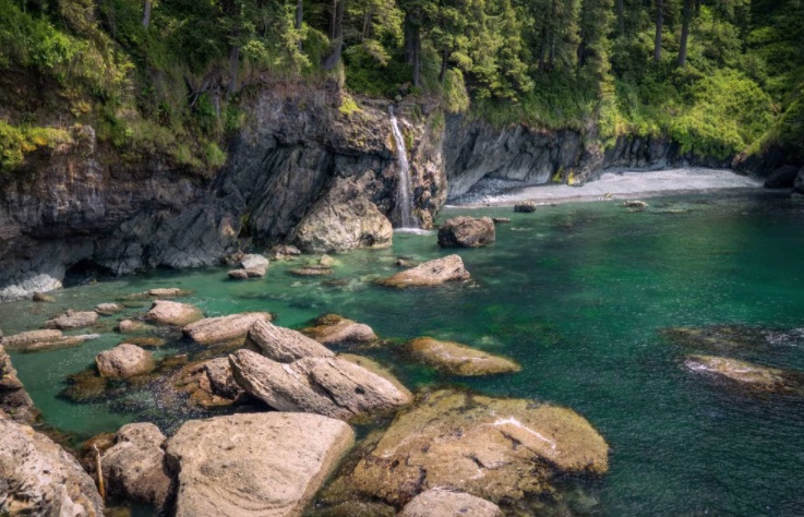 Seagull Studio Vacation Guest Suite | Seagull Studio, 1548 Dufour Rd, Sooke, BC V9Z 0T6, Canada | Phone: (250) 507-7723