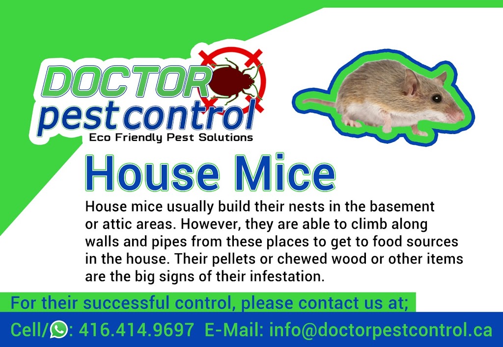 Doctor Pest Control | 4950 Albina Way #08, Mississauga, ON L4Z 4J4, Canada | Phone: (416) 414-9697