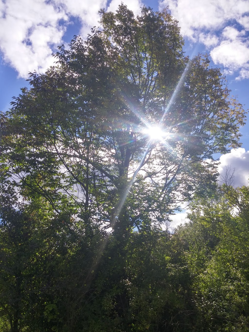 Clarence Nature Center | Thompson Rd, Clarence, NY 14031, USA | Phone: (716) 984-9046