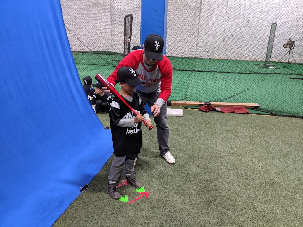 Pro Teach Baseball | 25 Whitlam Ave, Etobicoke, ON M8V 2K1, Canada | Phone: (416) 822-1982