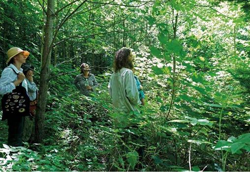 The Sacred Gardener | 486 Trail Blazers Rd, Golden Lake, ON K0J 1X0, Canada | Phone: (613) 625-1106