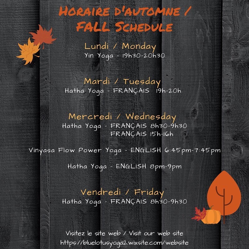 Blue Lotus Yoga Studio Inc. | 4365 Champlain Rd, Bourget, ON K0A 1E0, Canada | Phone: (613) 446-4609