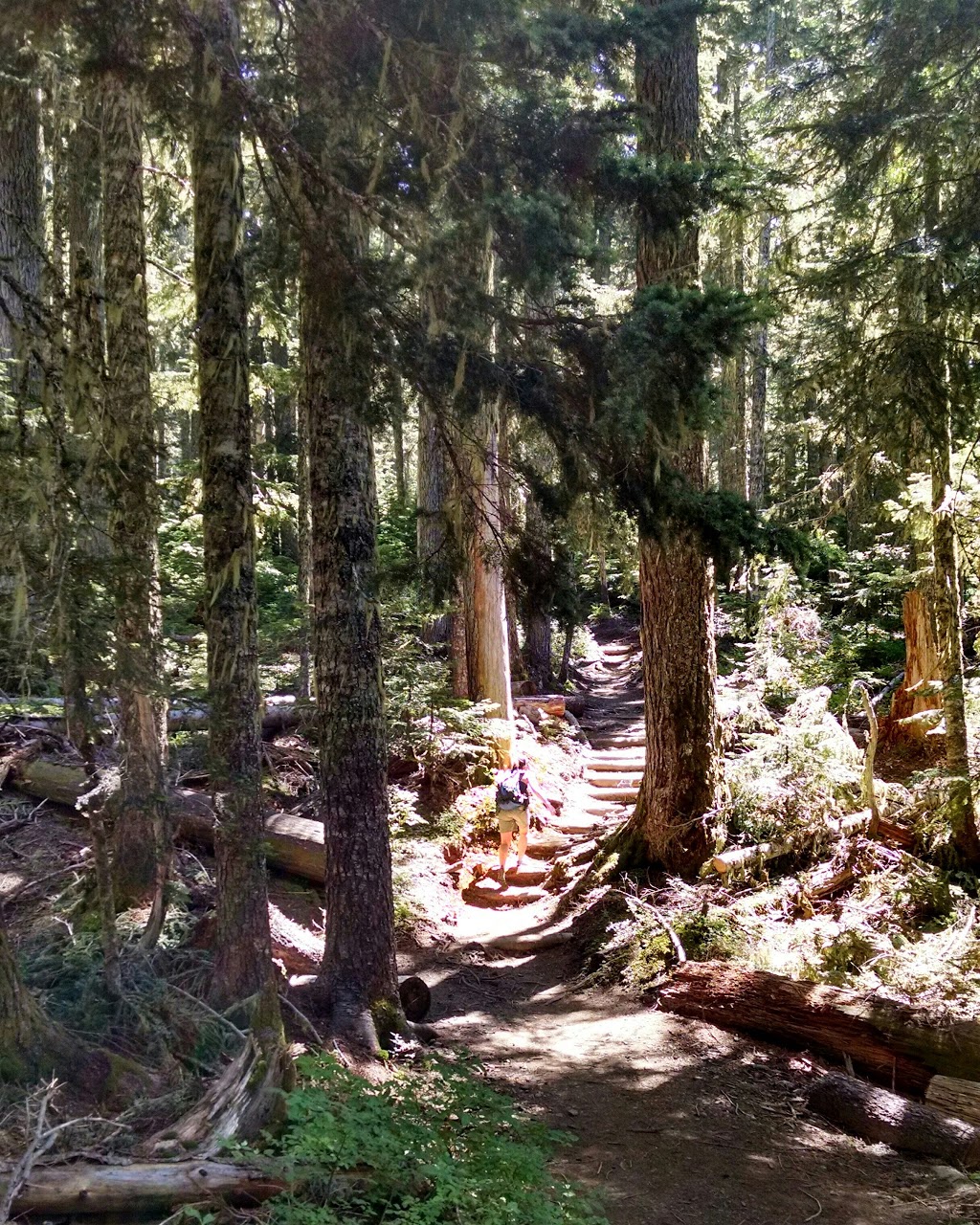 Skyline Divide Trailhead | NF-37, Deming, WA 98244, USA | Phone: (360) 856-5700