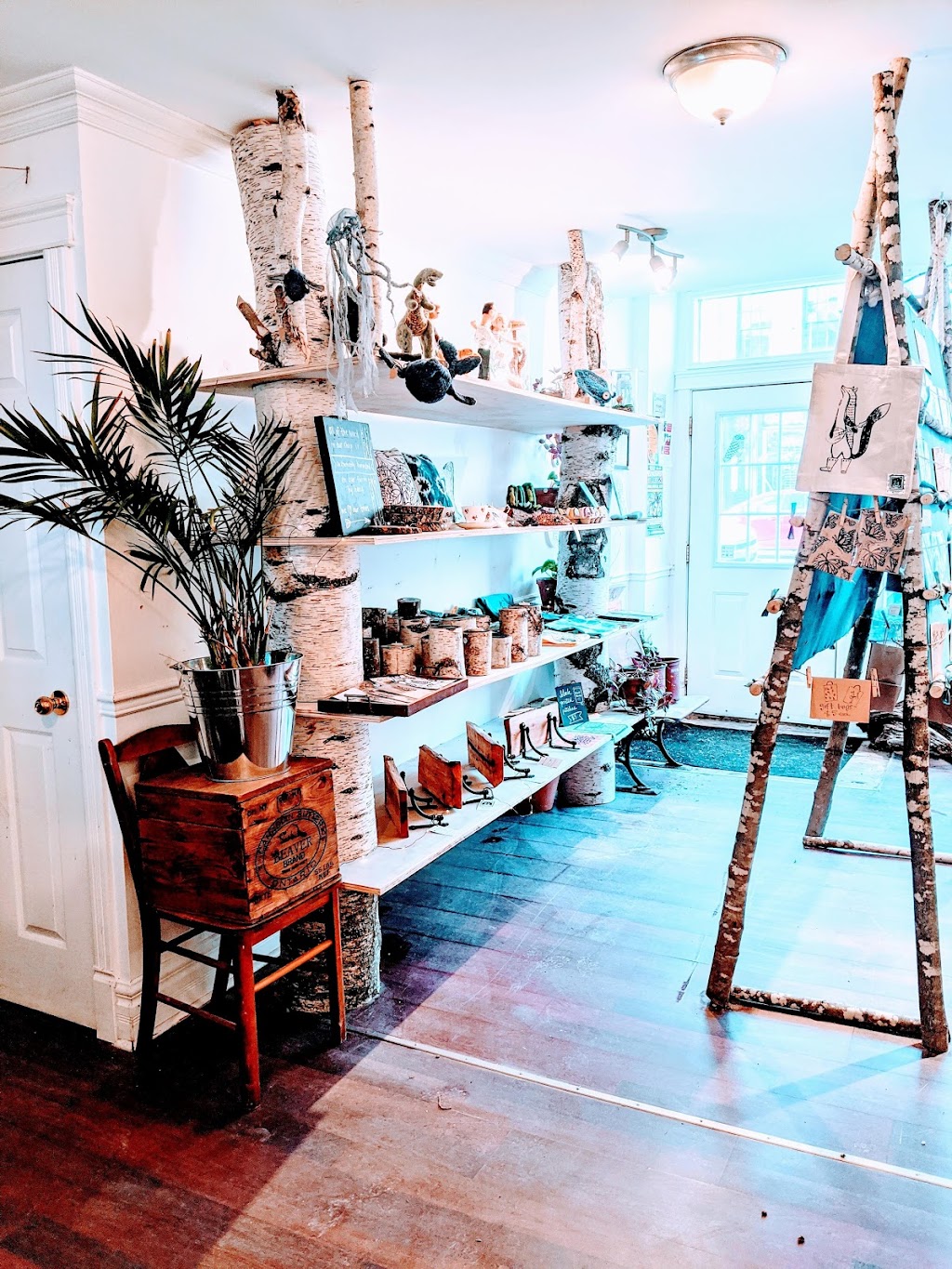 Cardboard Reality Farm & Studio | 157 Crosby Rd, Roseneath, ON K0K 2X0, Canada | Phone: (647) 642-6276
