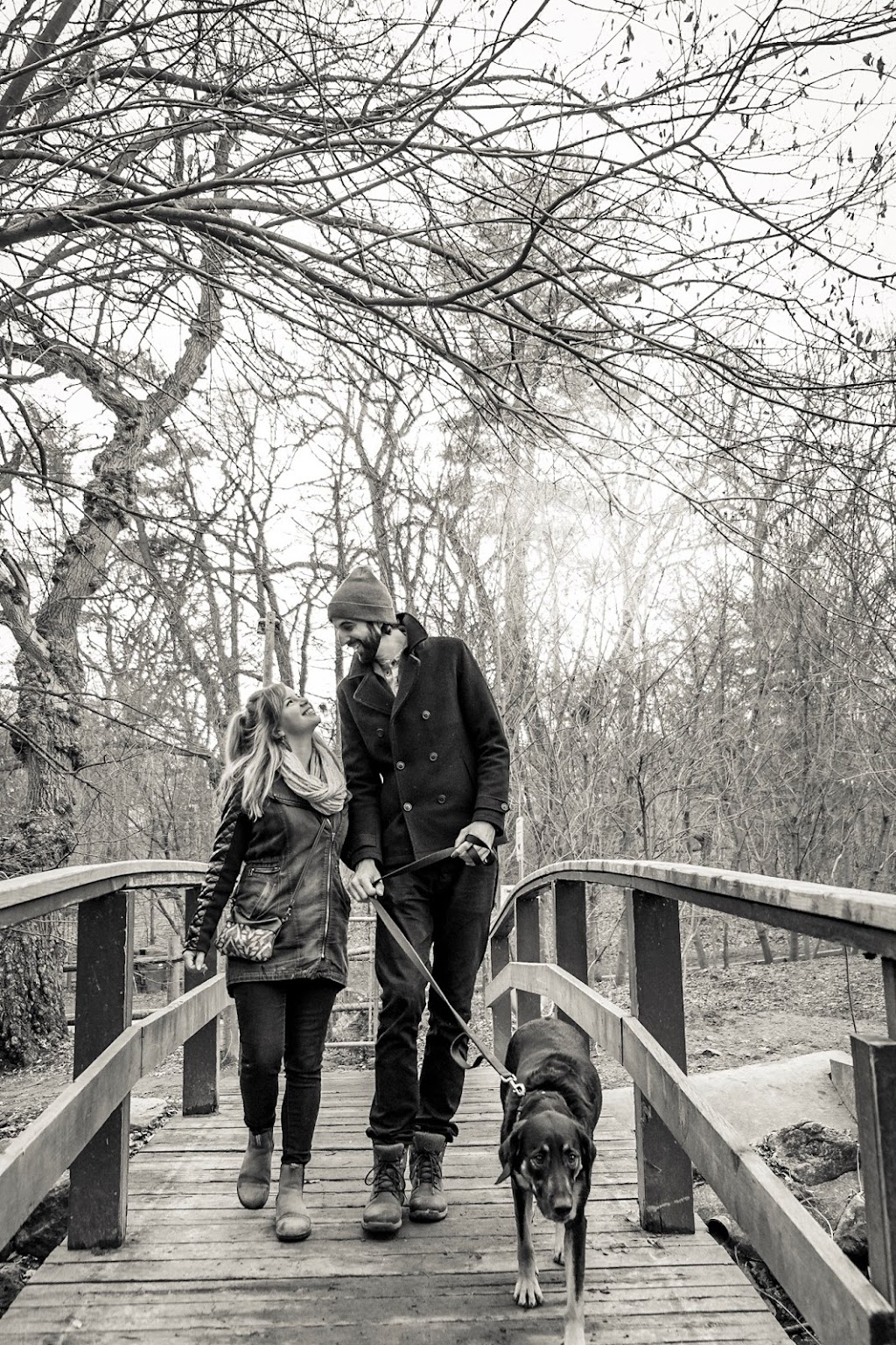 david gingrich photography | 18 Gordon St, Toronto, ON M6K 1P6, Canada | Phone: (416) 835-6598