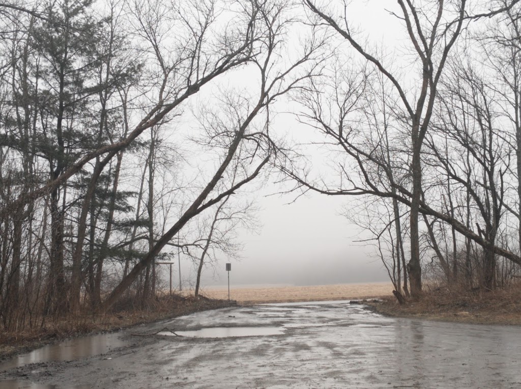 Boston Forest County Park Trailhead | Boston, NY 14025, USA | Phone: (716) 858-7037