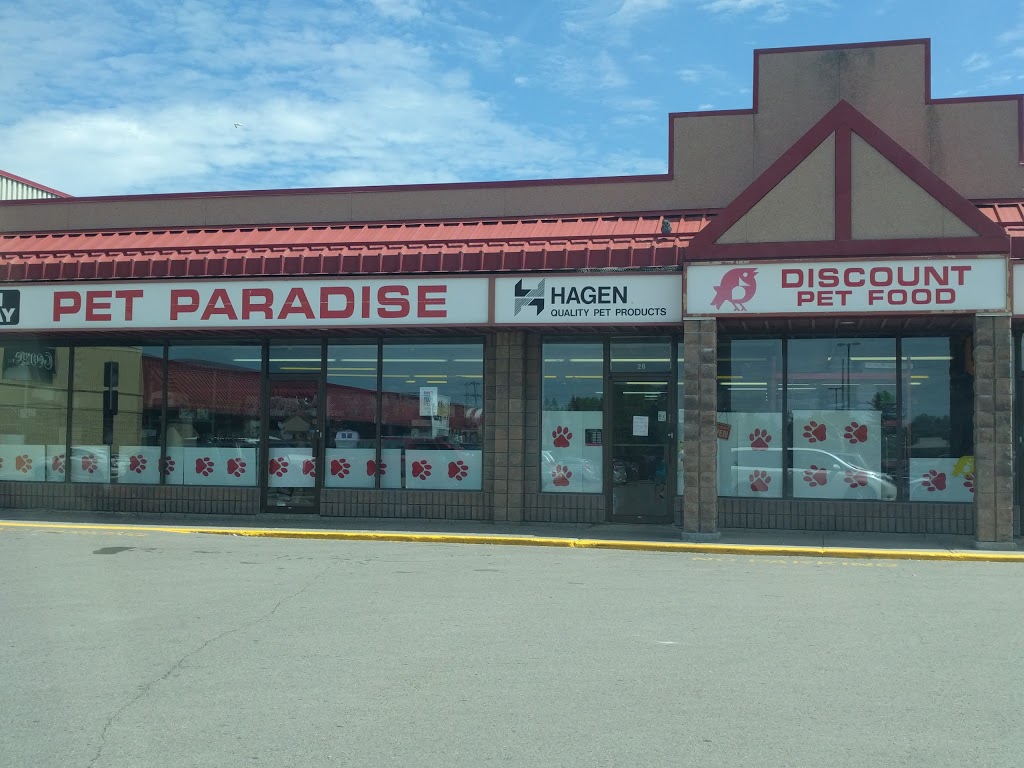 Pet Paradise | 28A-1111 Davis Dr, Newmarket, ON L3Y 9E5, Canada | Phone: (905) 853-7387