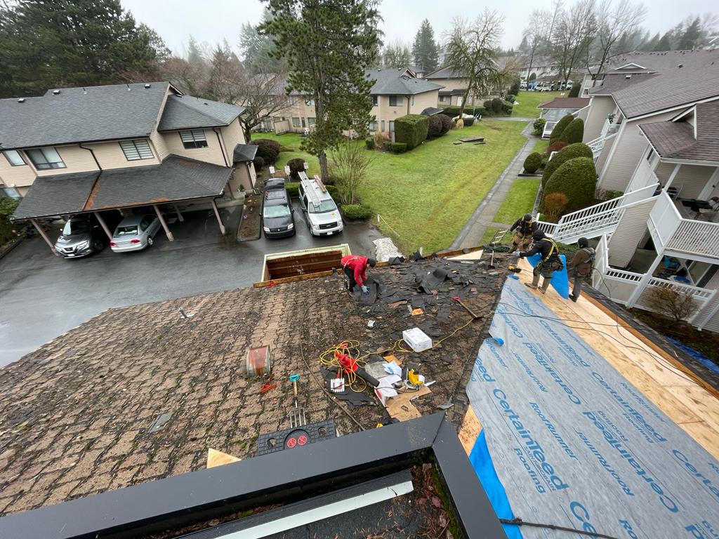 Paragon Roofing BC- Roofing Contractor Vancouver | 3262 Ganymede Dr, Burnaby, BC V3J 1A4, Canada | Phone: (604) 358-3436