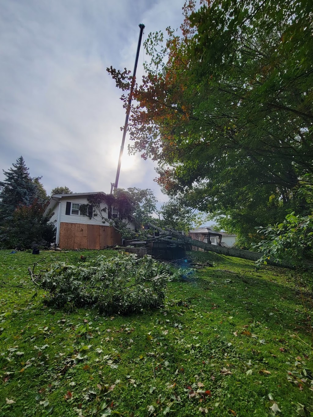 Arbor-Tech Tree Service Inc | 1240 Route 114, Lower Coverdale, NB E1J 1A6, Canada | Phone: (506) 382-0712
