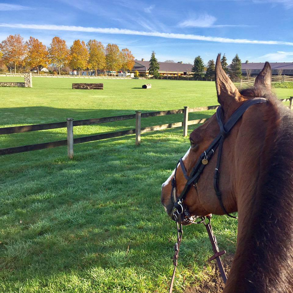 Twin Oaks Farm Ltd | 13671 No. 3 Rd, Richmond, BC V7A 1X7, Canada | Phone: (604) 277-7722