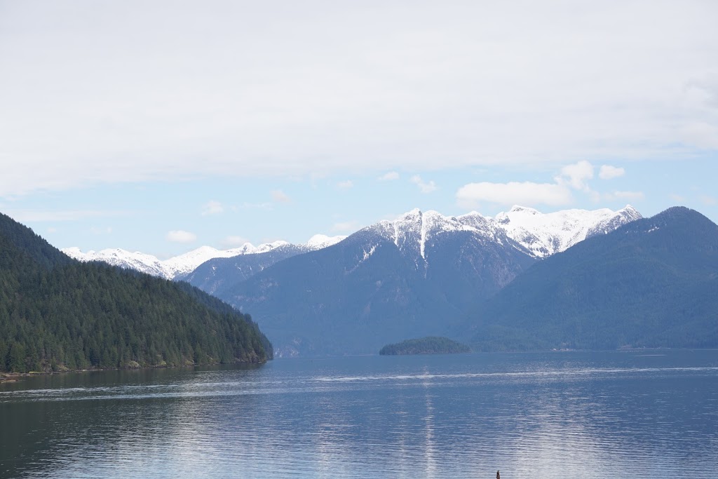Pitt Polder Ecological Reserve | Pitt Meadows, BC V3Y, Canada