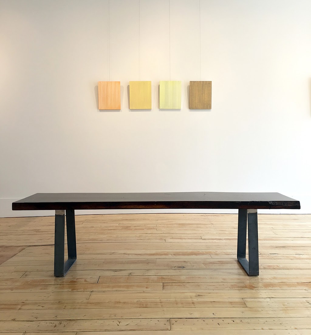 Colborne Street Gallery | 44 Colborne St, Fenelon Falls, ON K0M 1N0, Canada | Phone: (705) 887-0997