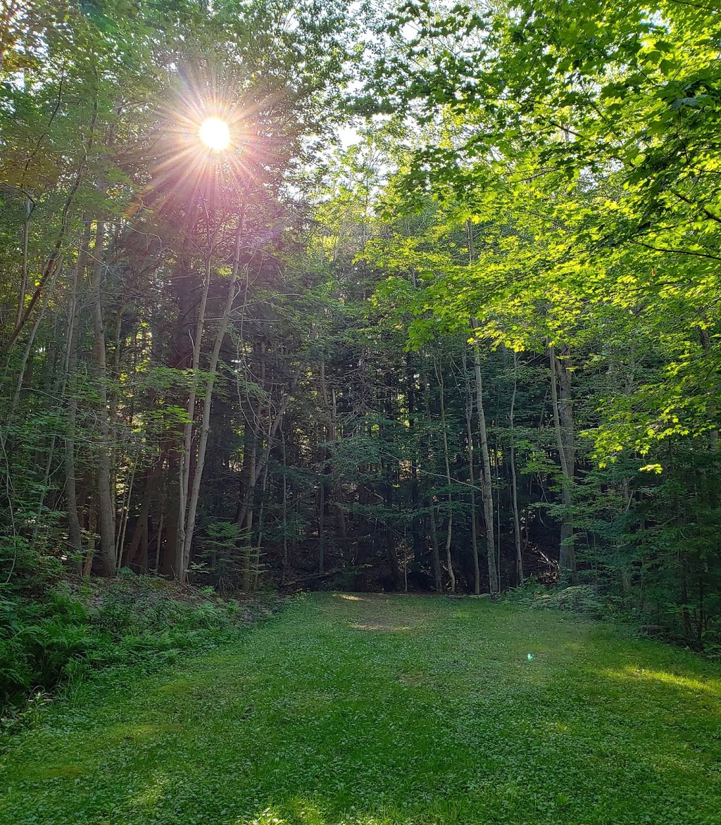 Highbury Gardens RV Park | 121 New Canaan Rd, Kentville, NS B4N 4K1, Canada | Phone: (902) 678-8011
