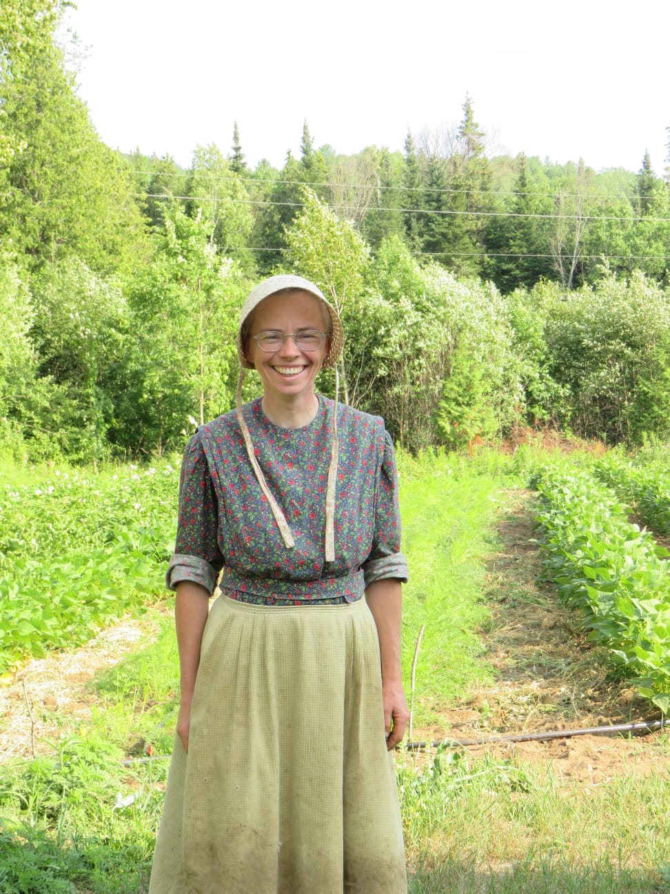 Noreens Fruitful Farm | 35029 Hwy 28 East, Bancroft, ON K0L 1C0, Canada | Phone: (613) 281-1868