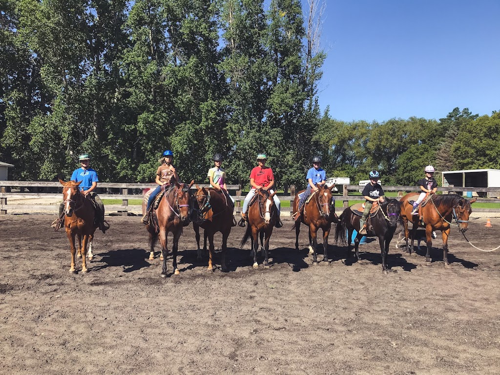 Dustyridge Equine Centre | Osterwick St S RR 1, Osterwick, MB R6W 4A1, Canada | Phone: (204) 362-4075