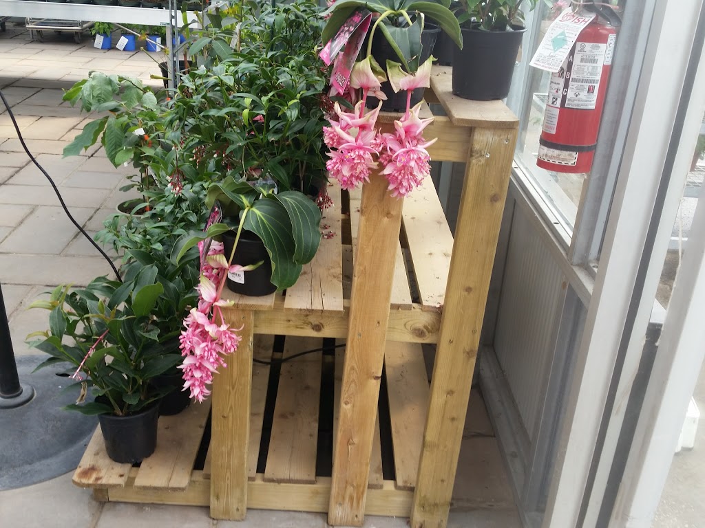 Centre De Jardin Brossard Inc | 6305 Grande Allée, Brossard, QC J4Z 3H6, Canada | Phone: (450) 443-2299