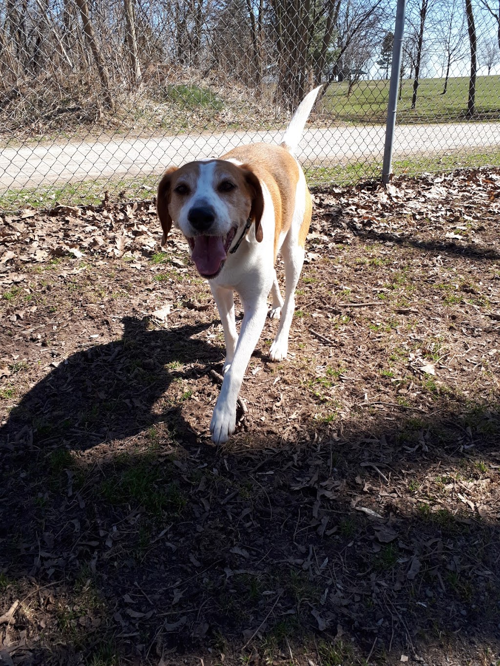 Niagara Falls Dog Park | 2275 Dorchester Rd, Niagara Falls, ON, Canada | Phone: (905) 356-7521 ext. 3330