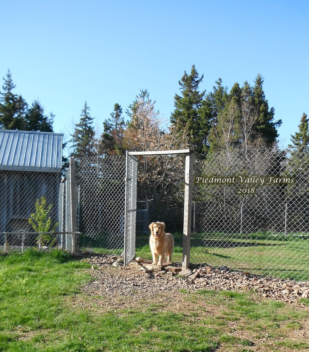 Piedmont Valley Farms | 2063 Piedmont Valley Rd, Merigomish, NS B0K 1G0, Canada | Phone: (902) 926-2634