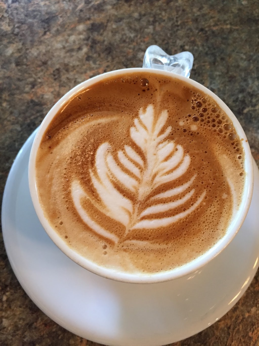 The Wild Oak Cafe & Community Market | 2539 Pleasant Valley Blvd, Armstrong, BC V0E 1B1, Canada | Phone: (778) 442-2028