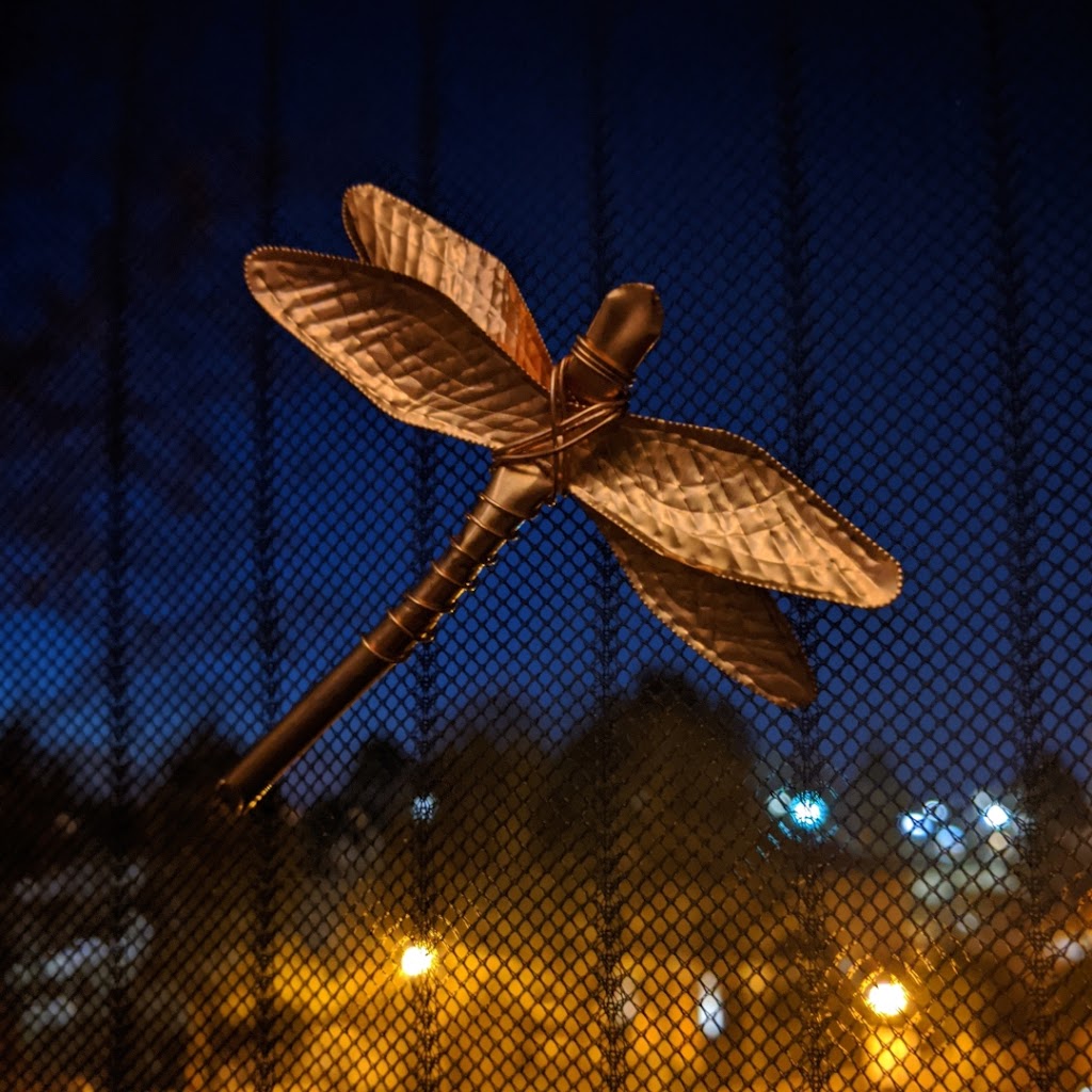 Hazy DayZ Dragonflies | 4 Waterfall Ln Unit 1, Nepean, ON K2H 9M9, Canada | Phone: (613) 204-8448