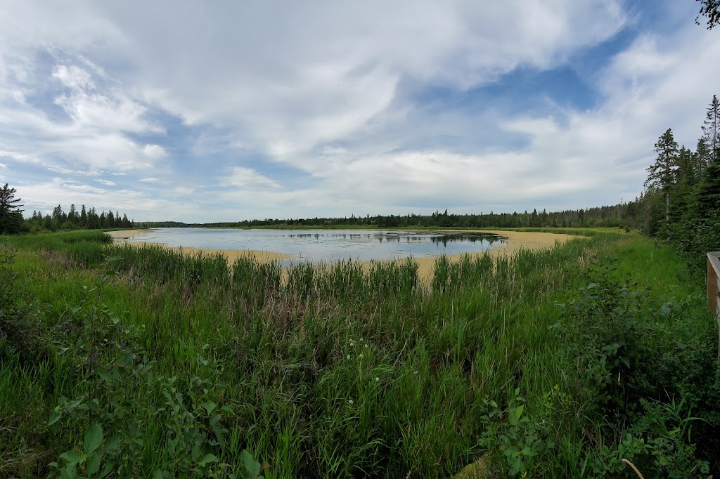 Gaetz Lakes Migratory Bird Sanctuary | 6300 45 Ave, Red Deer, AB T4N 3M4, Canada | Phone: (403) 346-2010
