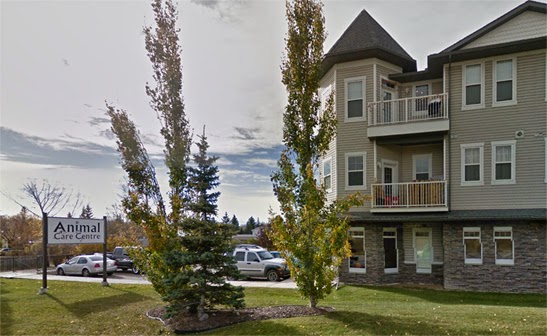Animal Care Centre-Okotoks | 144 Crescent Rd W, Okotoks, AB T1S 1K2, Canada | Phone: (403) 938-0350