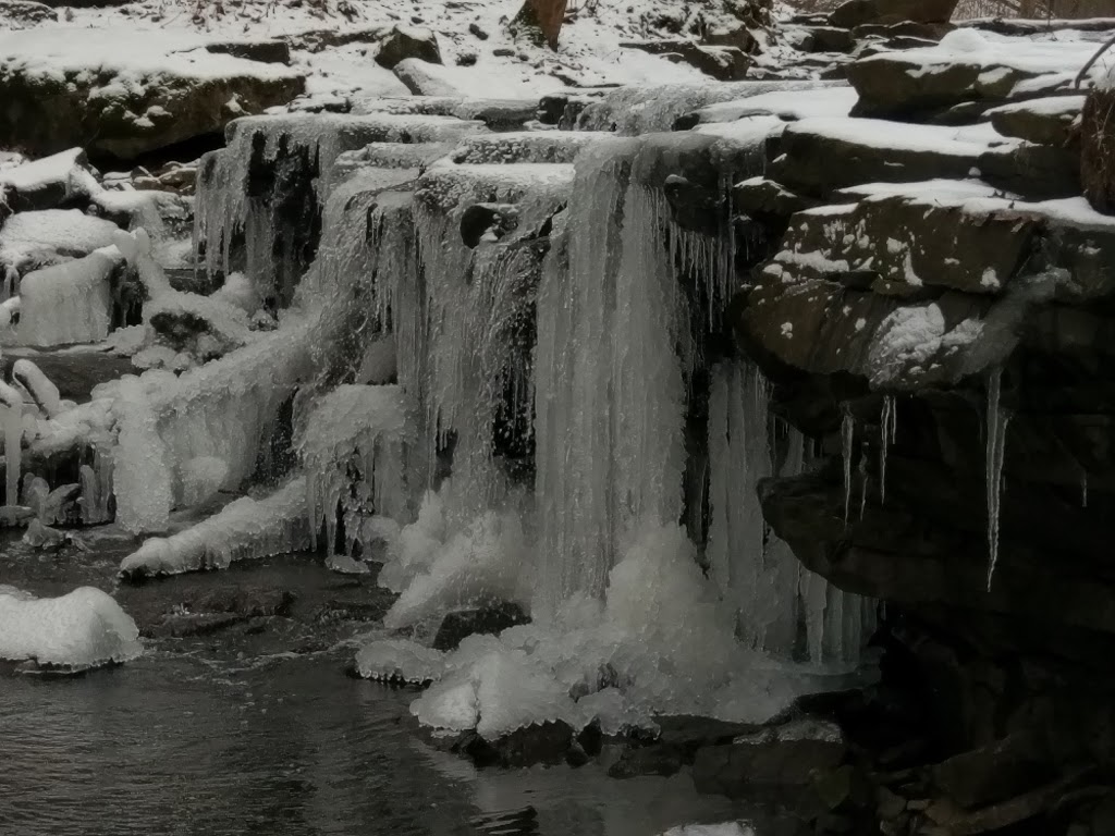 Rolin T Grant Gulf Wilderness Park | 445 Glenwood Ave, Lockport, NY 14094, USA