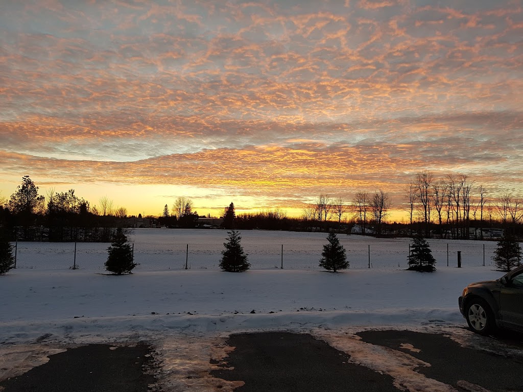 Lee Valley Distribution Centre | 2770 Carp Rd, Carp, ON K0A 1L0, Canada | Phone: (800) 267-8767