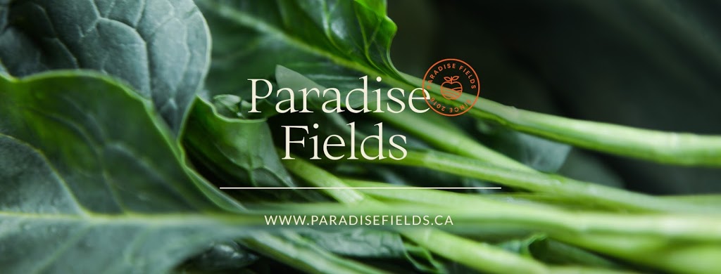 Dr George Cho ND, Naturopathic Doctor, Paradise Fields Clinic | 3355 Golf Club Rd, Hannon, ON L0R 1P0, Canada | Phone: (289) 522-0202