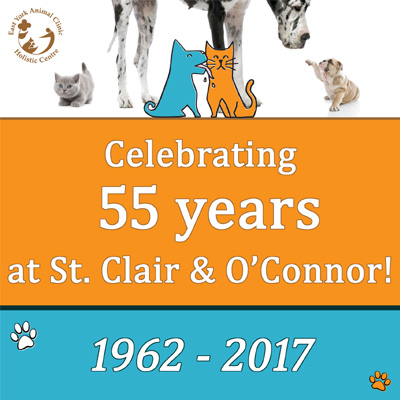 East York Animal Clinic Holistic Centre | 805 OConnor Dr, East York, ON M4B 2S7, Canada | Phone: (416) 757-3569