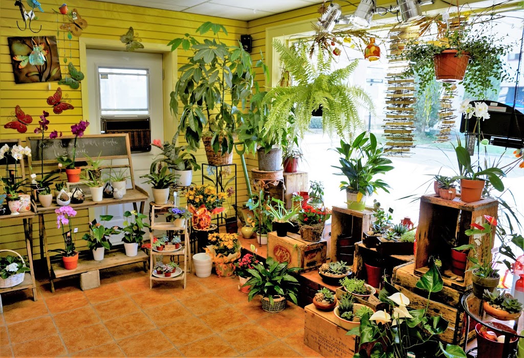 Fleuriste Art Déco | 422 Rue Saint-Jacques, Napierville, QC J0J 1L0, Canada | Phone: (450) 245-0021