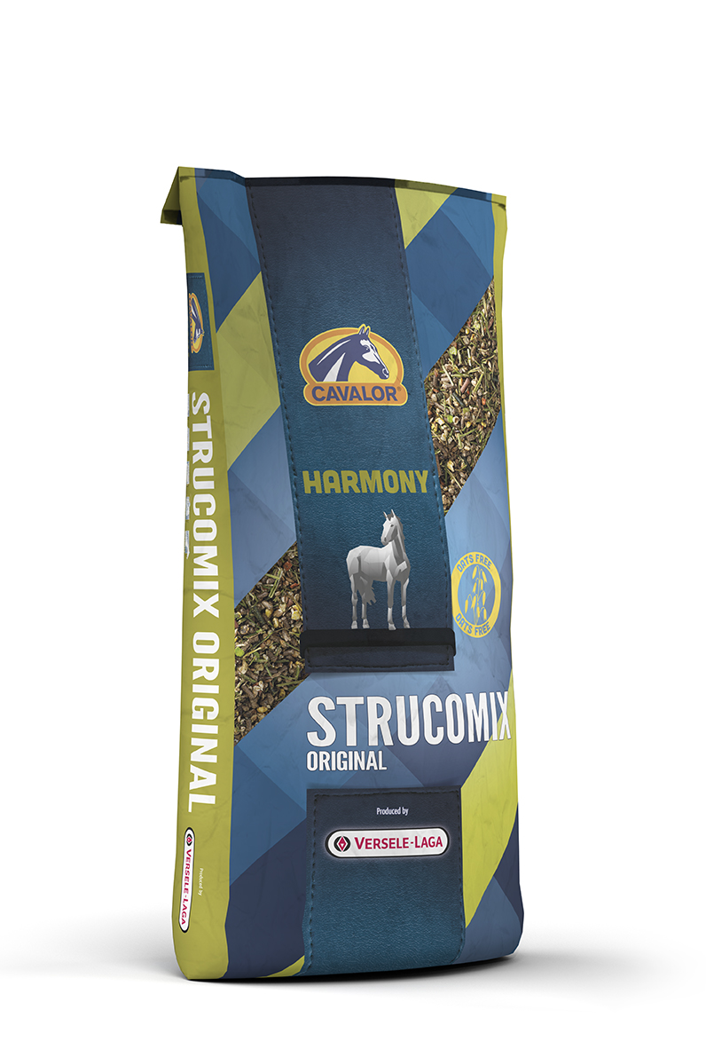TPT Sterner Equestrian Education Centre | 46 Leslie Rd, Roslin, ON K0K 2Y0, Canada | Phone: (705) 761-5455