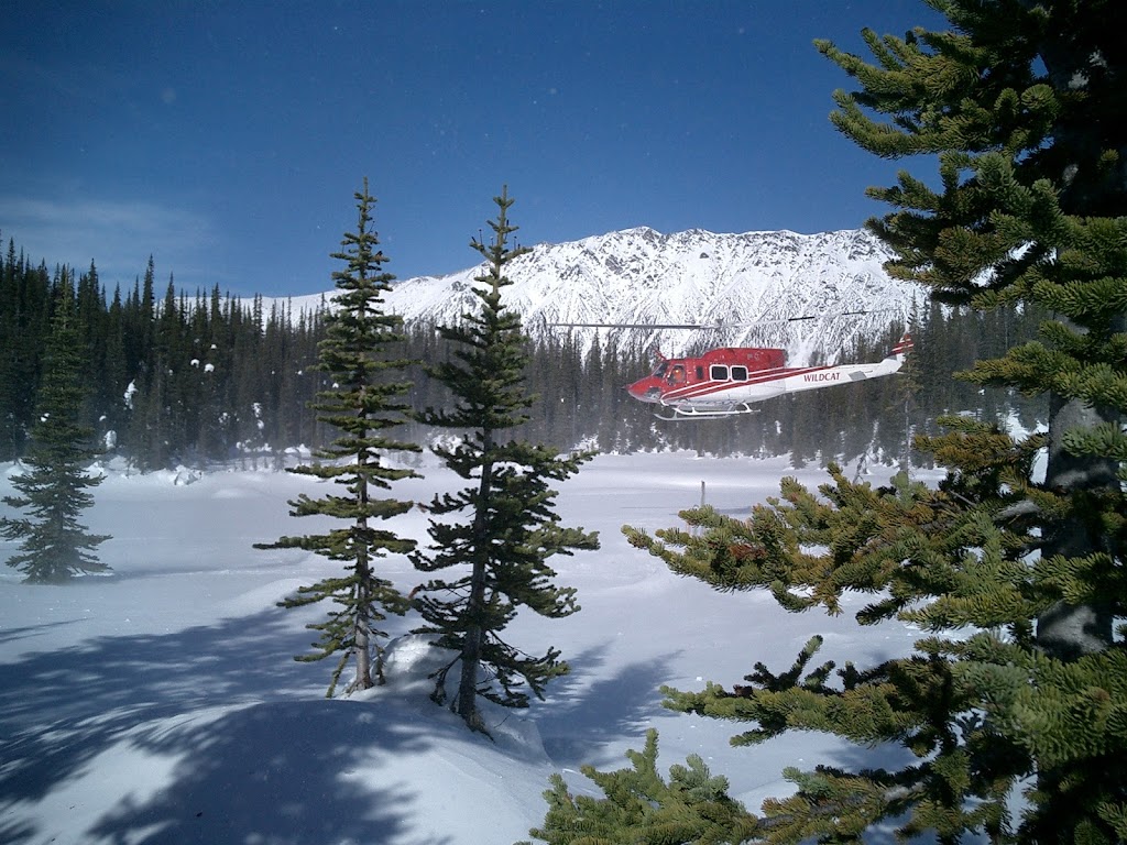 Tyax Heliskiing | 1 Tyaughton Lake Rd, Gold Bridge, BC V0K 1P0, Canada | Phone: (250) 238-2221