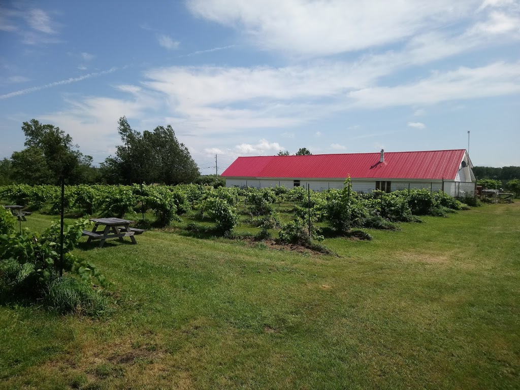 Winegarden Estate Ltd | 851, NB-970, Baie Verte, NB E4M 1Z7, Canada | Phone: (506) 538-7405