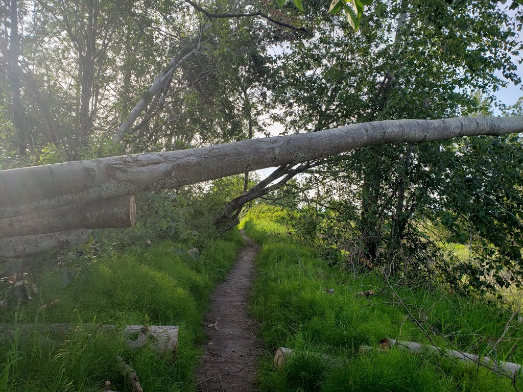 Mcneeleys Trail | 5011 River Rd, Delta, BC V4K 4V9, Canada