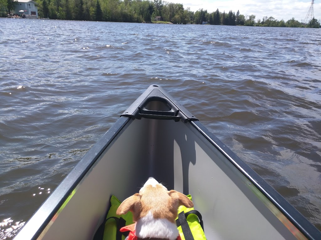 White Spruce on the Lake | Wendigo Rd, Lac du Bonnet, MB R0E 1A0, Canada | Phone: (204) 340-3090
