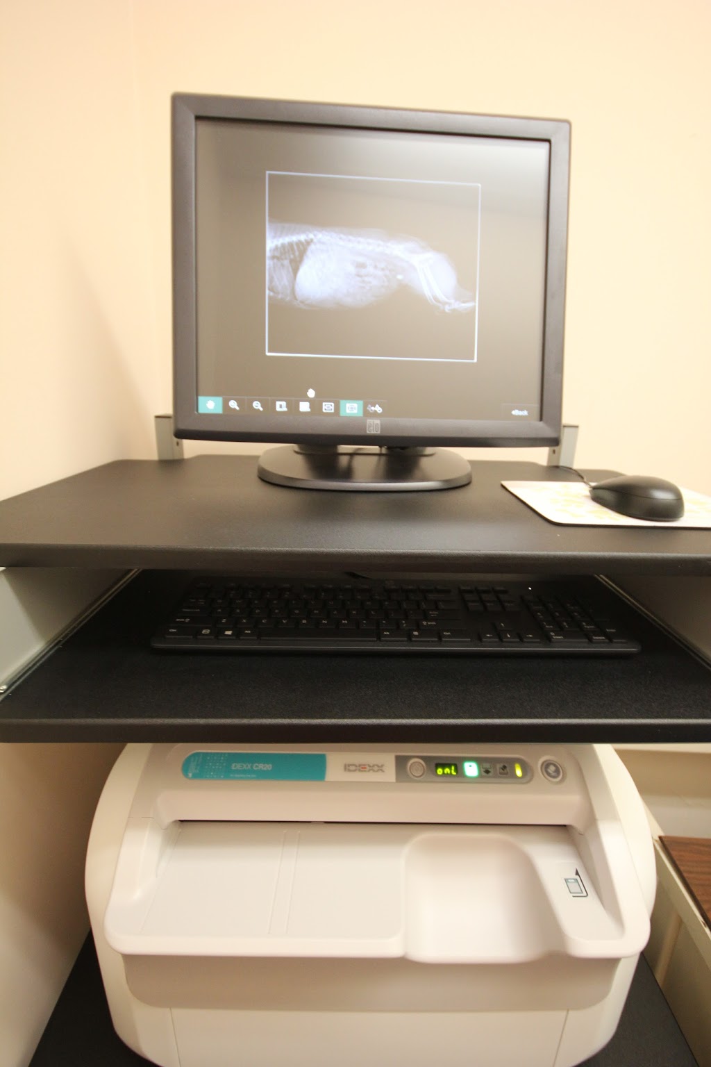Erindale Animal Hospital | 4040 Creditview Rd Unit 27, Mississauga, ON L5C 3Y8, Canada | Phone: (905) 232-8383