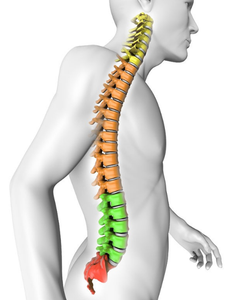 StayFit Physio and Spinal Decompression Centre | 1580 Merivale Rd #403, Nepean, ON K2G 4B5, Canada | Phone: (613) 225-8956