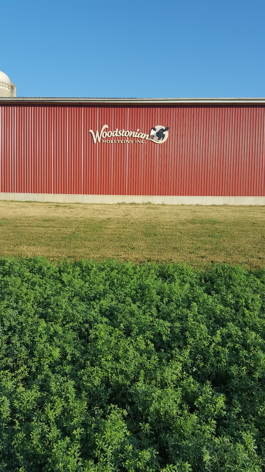 Woodstonian Holsteins Inc. | 354040 Jordan Line, Ingersoll, ON N5C 3J7, Canada | Phone: (519) 425-5395