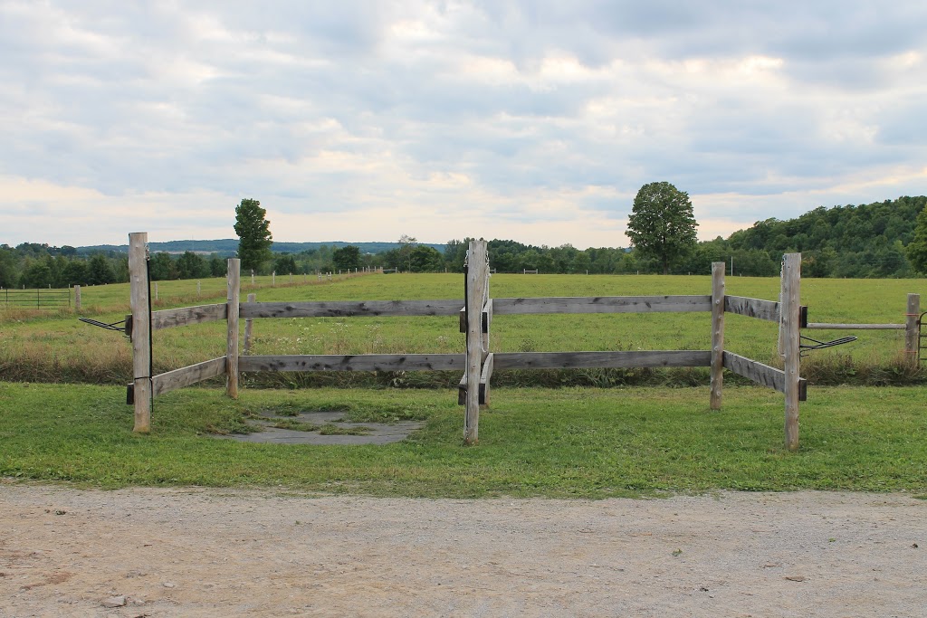 Langman Farms & Equestrian Centre | 2591 Bass Lake Side Rd E, Oro-Medonte, ON L3V 2Z2, Canada | Phone: (705) 345-9689
