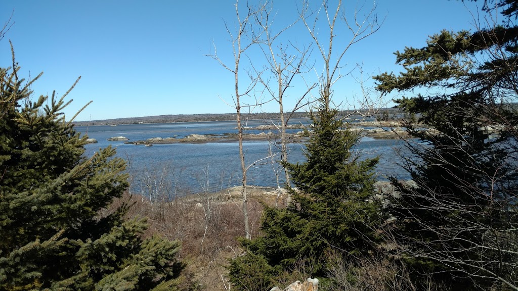 Salt Marsh Trail | Trans Canada Trial, Cole Harbour, NS B2V 2T2, Canada