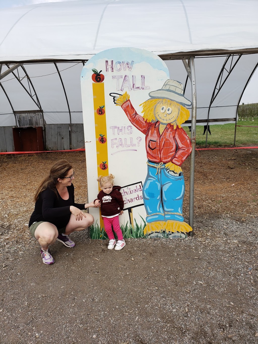 Archibald Orchards & Winery | 6275 Liberty St N, Bowmanville, ON L1C 6L1, Canada | Phone: (905) 263-2396