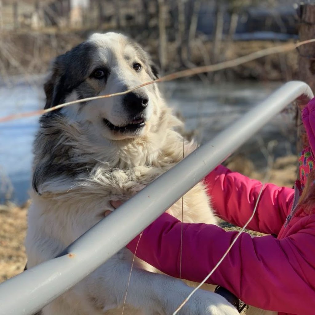 HEAVEN ON EARTH FARMS | 312302 ON-6, Ayton, ON N0G 1C0, Canada | Phone: (519) 831-7235