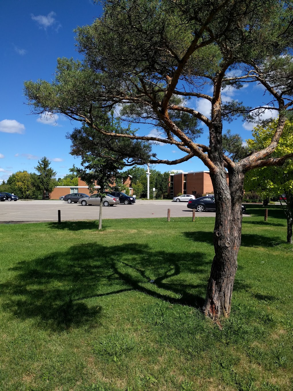 Donway Covenant United Church (The) | 230 The Donway W, North York, ON M3B 2V8, Canada | Phone: (416) 444-8444