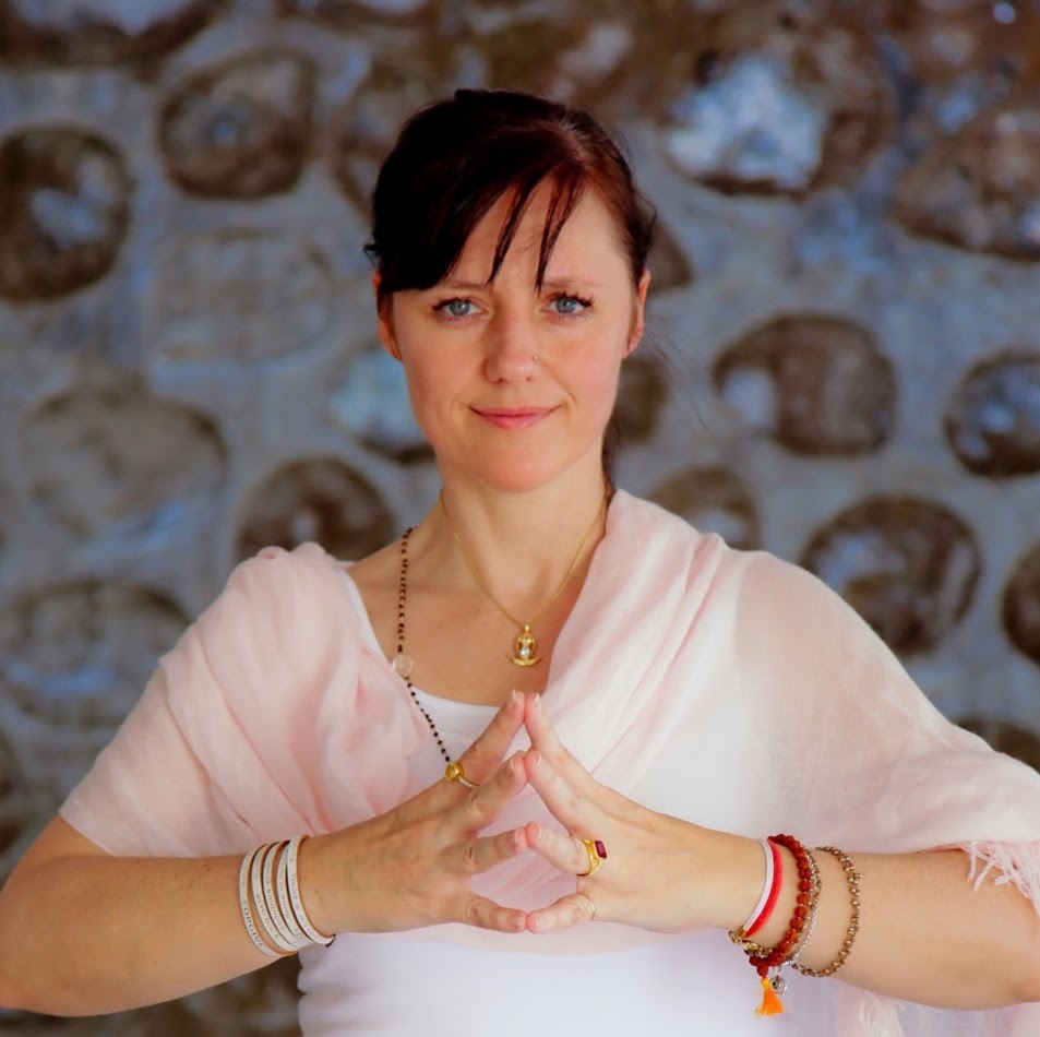 SVA Yoga | 1311 Hainstock Way SW, Edmonton, AB T6W 3B6, Canada | Phone: (780) 819-6859