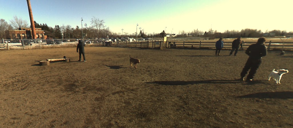 Colonel Samuel Smith Dog Park | dr 4b6, 65 Colonel Samuel Smith Park Dr, Etobicoke, ON M8V 4B6, Canada