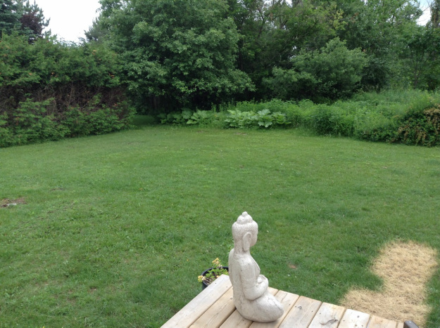 Ellen Kings Source Healing | 7 Prentice St Box 123, Minden, ON K0M 2K0, Canada | Phone: (705) 286-2489