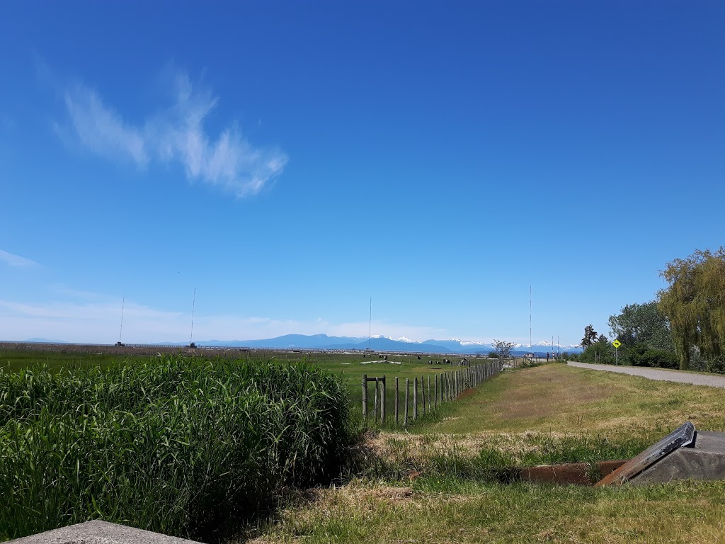 Steveston Stock and Seed Farm | 2871 Steveston Hwy, Richmond, BC V7E 2J1, Canada | Phone: (604) 277-7759